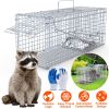 25.59Inch Live Humane Animal Trap Cage Heavy Duty Folding Catch And Release Rodent Cage For Rabbit Squirrel Possum Skunk Kitten Raccoon And More GPCT5