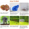 25.59Inch Live Humane Animal Trap Cage Heavy Duty Folding Catch And Release Rodent Cage For Rabbit Squirrel Possum Skunk Kitten Raccoon And More GPCT5