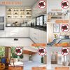 Multiple Location Reusable Rat Rodent Killer Mouse Traps(USPS Shiping)